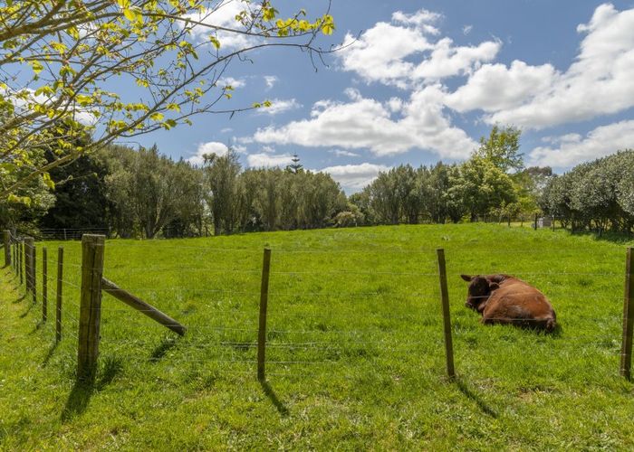  at 19 Leyland Road, Tauranga