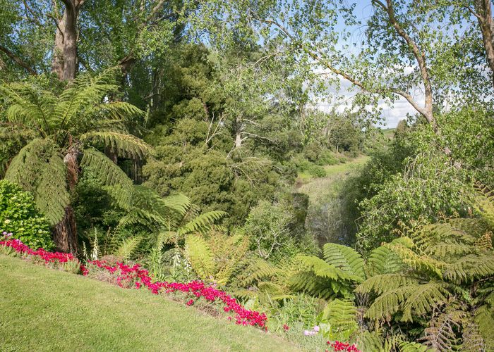  at 217 Kane Street, Pirongia, Pirongia