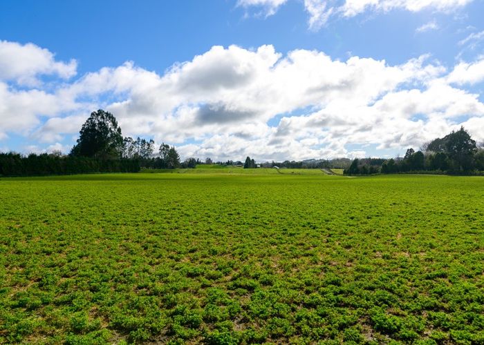  at 48 Dalbeth Road, Hamurana