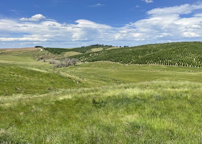  at 107 Balmoral Road, Duntroon, Waitaki, Otago