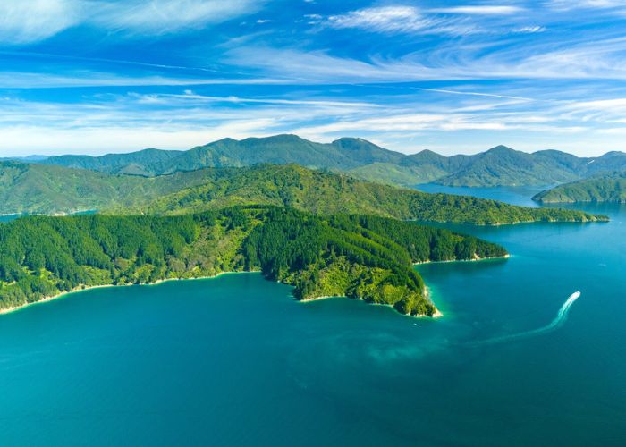  at Snake Point, Queen Charlotte Sounds, Marlborough, Marlborough