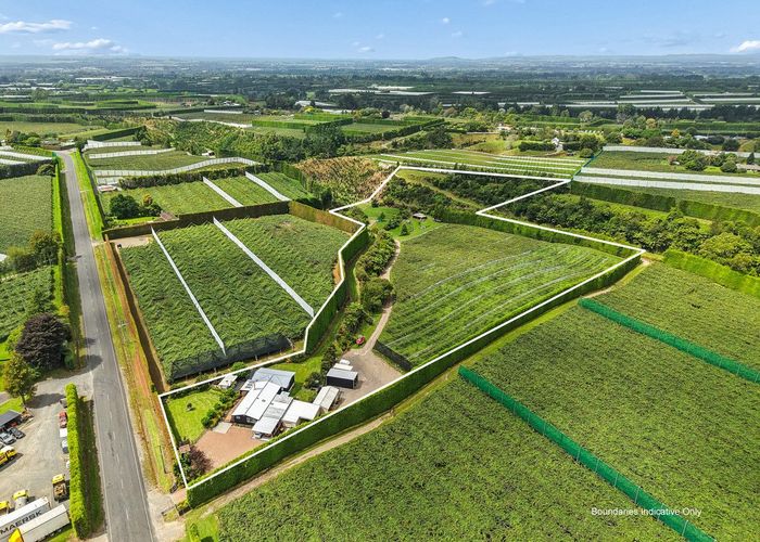  at 447 No2 Road, Te Puke, Western Bay Of Plenty, Bay Of Plenty