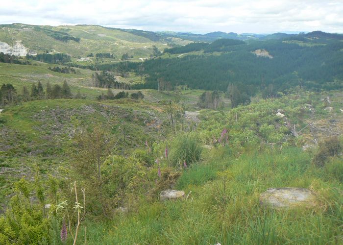  at Lot 65 Stoney Creek Road, Kaikohe, Far North, Northland