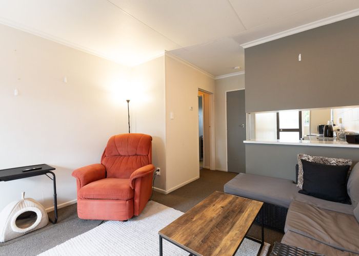  at 31B Morris Street, Hokowhitu, Palmerston North, Manawatu / Whanganui