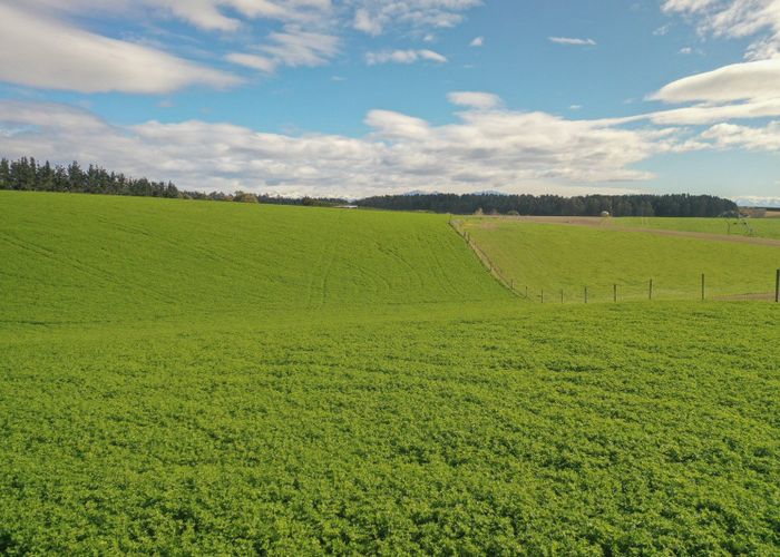  at 140 King Road, Rosewill, Timaru, Canterbury