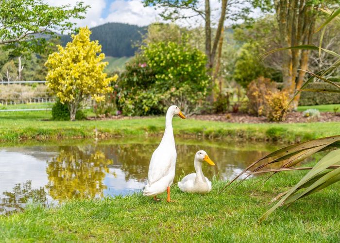  at 43 TVL Road, Blue Mountains, Upper Hutt, Wellington