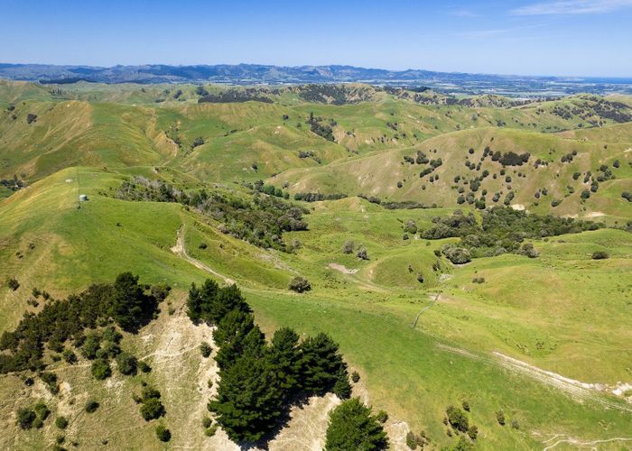  at Hills Road, Ngatapa, Gisborne, Gisborne