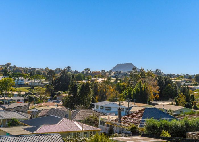  at 19 Bellevue Road, Bellevue, Tauranga, Bay Of Plenty