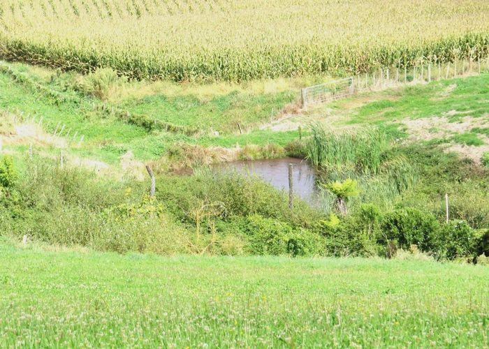  at 63 Owairaka Valley Road, Parawera, Te Awamutu