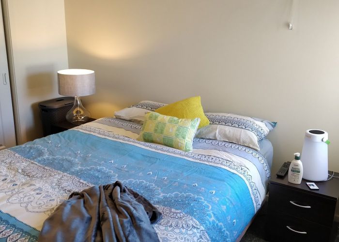  at 175B Killarney Road, Frankton, Hamilton