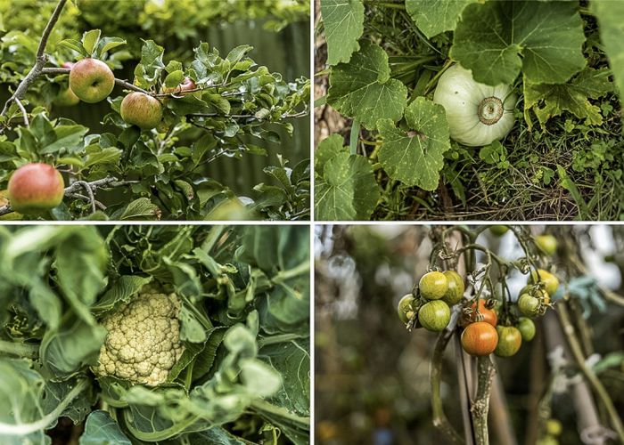  at 25 Kawatiri Avenue, Gonville, Whanganui, Manawatu / Whanganui