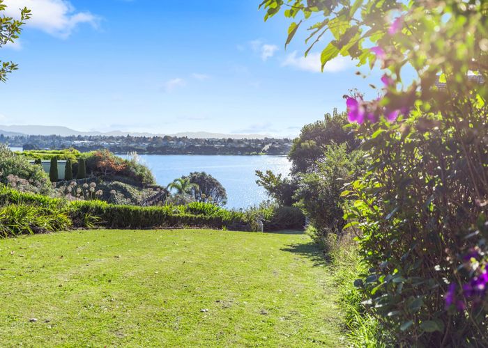  at 238 Maungatapu Road, Maungatapu, Tauranga, Bay Of Plenty
