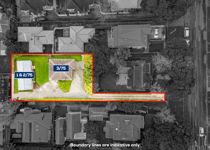  at  1,2&3/75 Wheturangi Road, Greenlane, Auckland City, Auckland