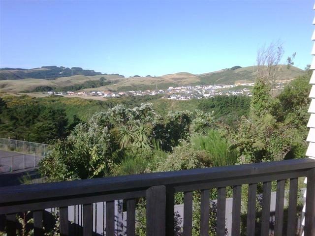  at 88 Bracken Road, Paparangi, Wellington, Wellington