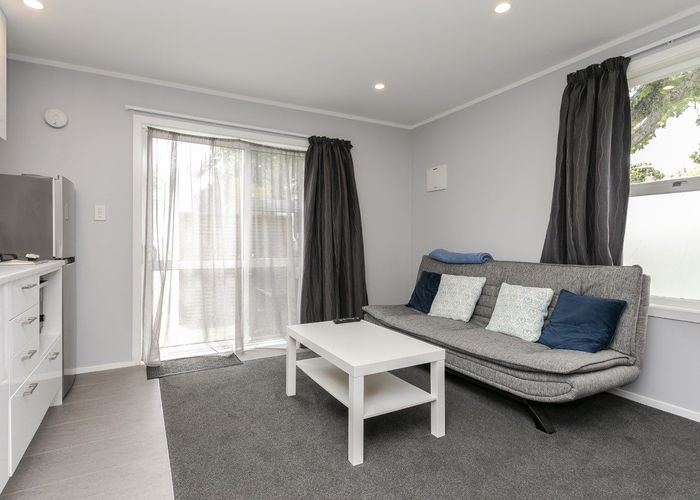  at 8 Leslie avenue, Sandringham, Auckland City, Auckland