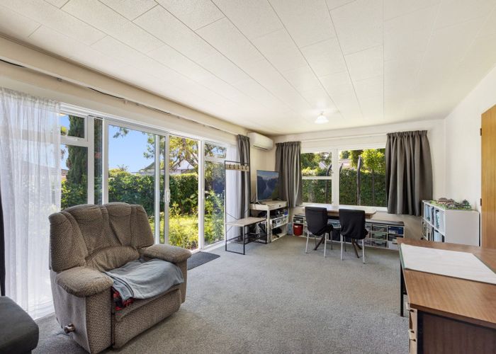  at 394C Devonport Road, Tauranga South, Tauranga
