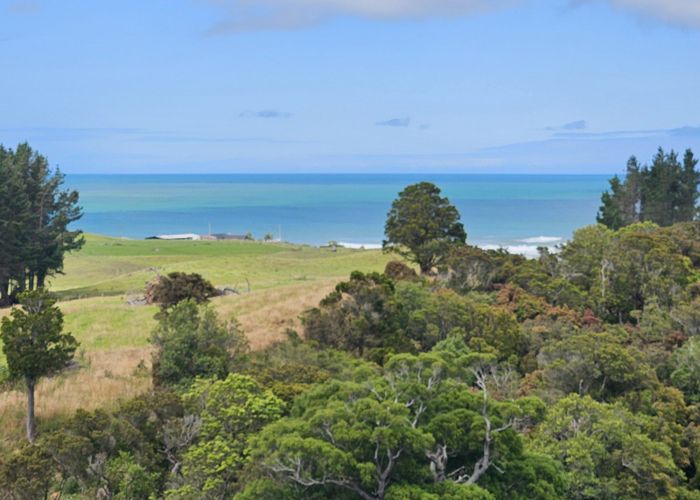  at 61 Tinico Road, Kaka Point, Clutha, Otago