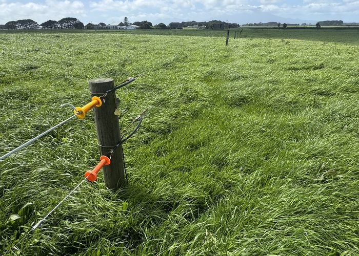  at 4782 South Road, Opunake, South Taranaki, Taranaki