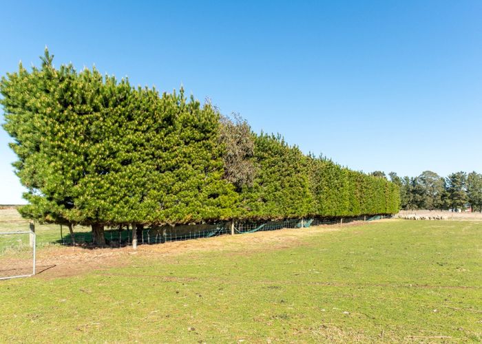  at 529 Maronan Road, Ashburton, Ashburton, Canterbury