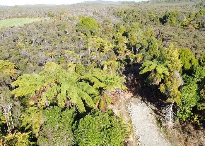  at Lot 5 Wilsons Lead Road, Cape Foulwind, Buller, West Coast