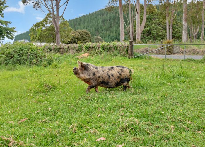  at 37 Takitu Road, Pakotai, Whangarei, Northland