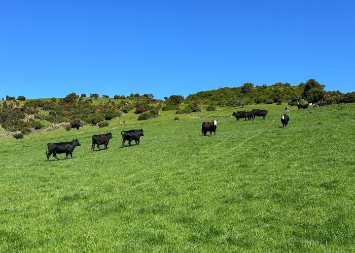 at 4 Caird Road, Otapiri, Southland, Southland