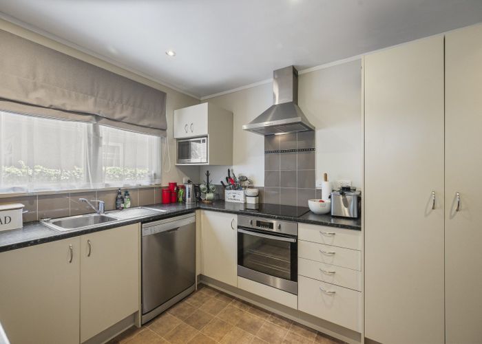  at 241 Mayfair Avenue, Mayfair, Hastings, Hawke's Bay