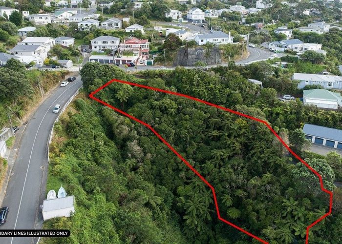  at 72 Farnham Street, Mornington, Wellington, Wellington