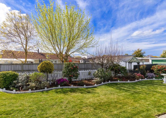 at 42A McLauchlan Street, Springlands, Blenheim, Marlborough
