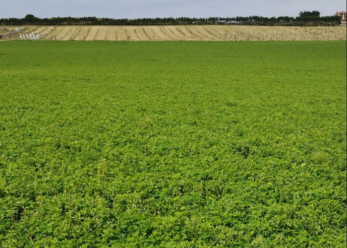  at 50 Gees Road, Kakanui