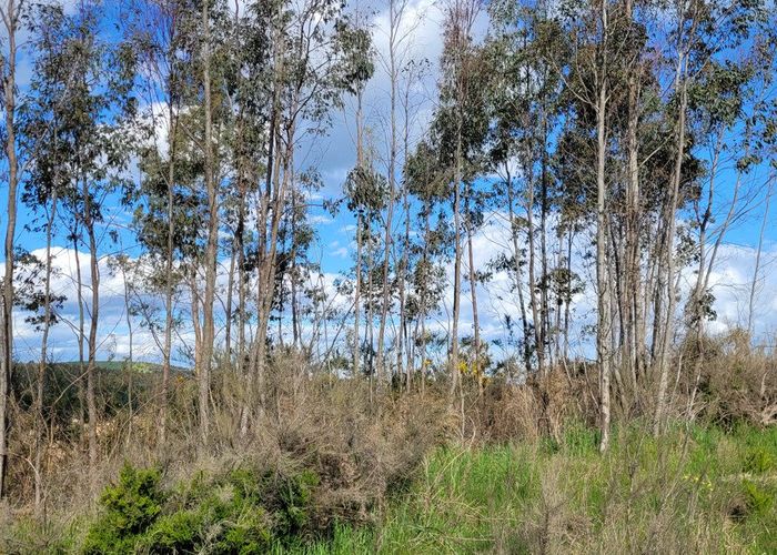  at 200 Nightcaps Ohai Highway, Ohai, Southland, Southland