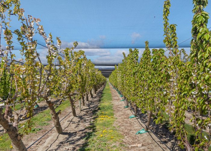  at 999 Luggate-Cromwell Road, Cromwell, Central Otago, Otago