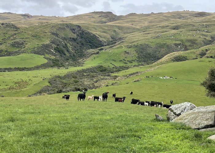  at 49 Top Road, Middlemarch, Dunedin, Otago