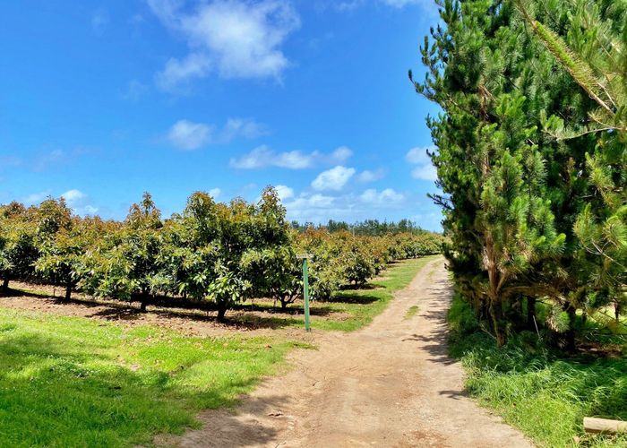  at Lot 1 Elingamite Drive, Pukenui, Far North, Northland