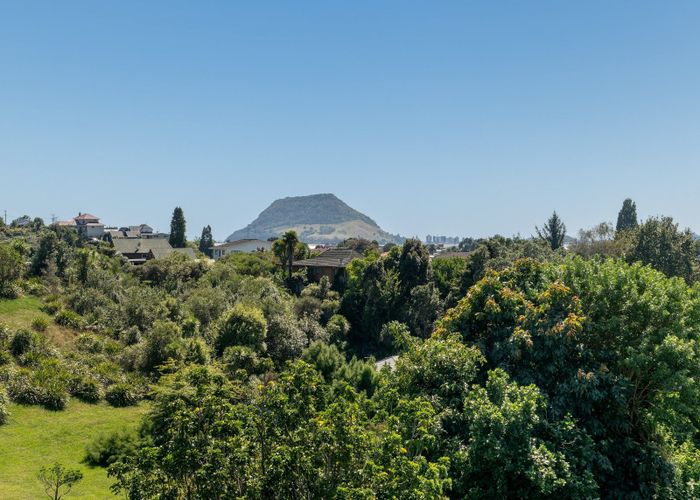  at 50 Hillcrest Road, Otumoetai, Tauranga