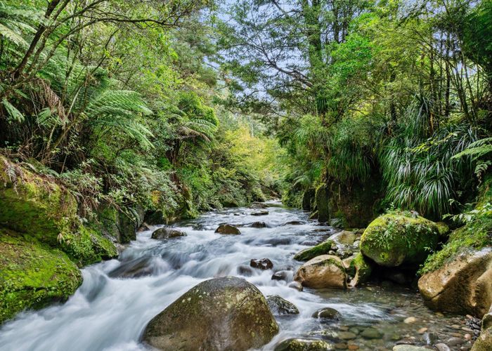  at 93 Upland Road, Aongatete, Western Bay Of Plenty, Bay Of Plenty