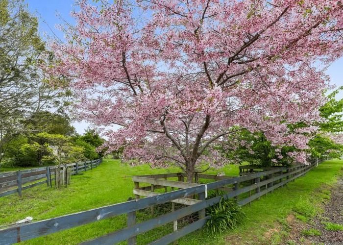  at 387 Buckland Road, Buckland, Pukekohe