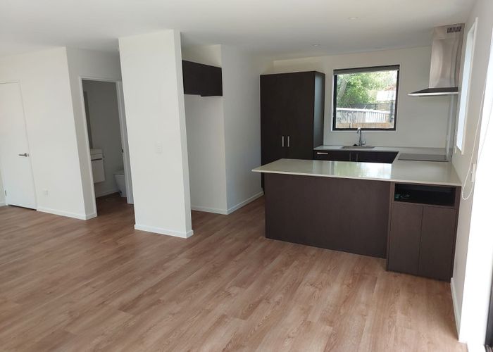  at 4/163 Bordesley Street, Phillipstown, Christchurch