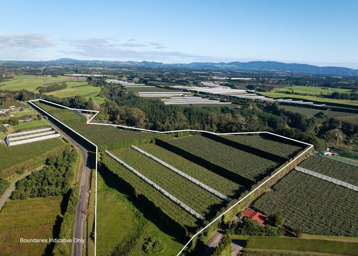  at 172 Maungarangi Road, Te Puke, Western Bay Of Plenty, Bay Of Plenty