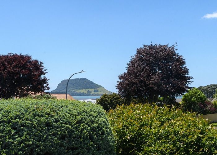  at 126 Waratah Street, Matua, Tauranga