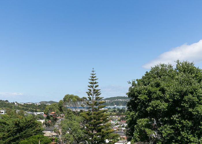  at 587 Broadway, Miramar, Wellington