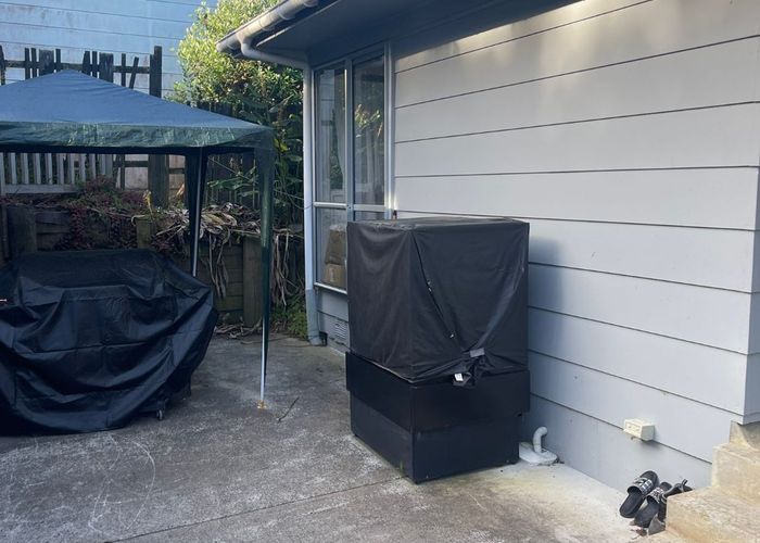  at 24 Sapphire Place, Bayview, Auckland