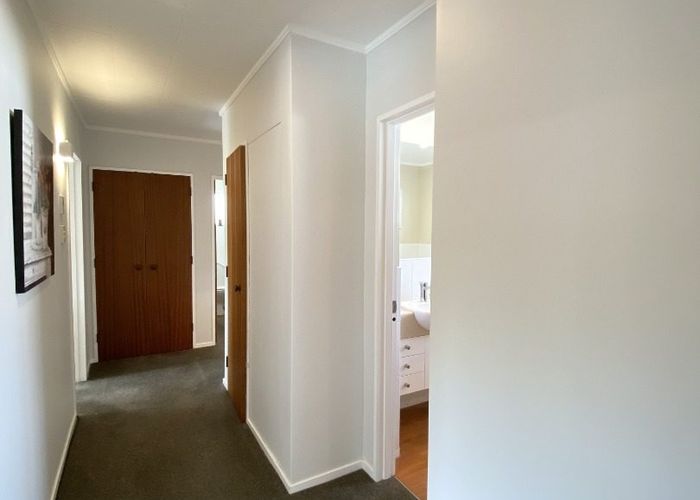  at 272 Albert Street, Hokowhitu, Palmerston North