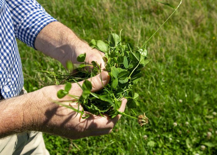  at 1343 Wharerata Road, Muriwai, Gisborne, Gisborne