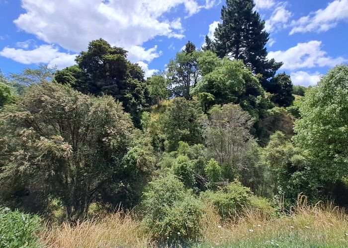  at 2244 A Te Ore Ore Bideford Road, Masterton, Masterton, Wellington