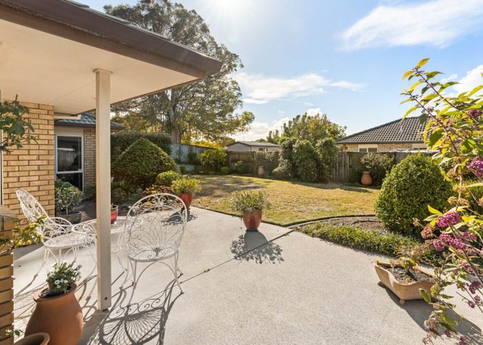  at 16 McLeod Place, Papamoa, Tauranga, Bay Of Plenty