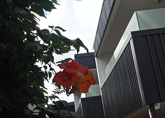  at 31 Seddon Road, Frankton, Hamilton, Waikato