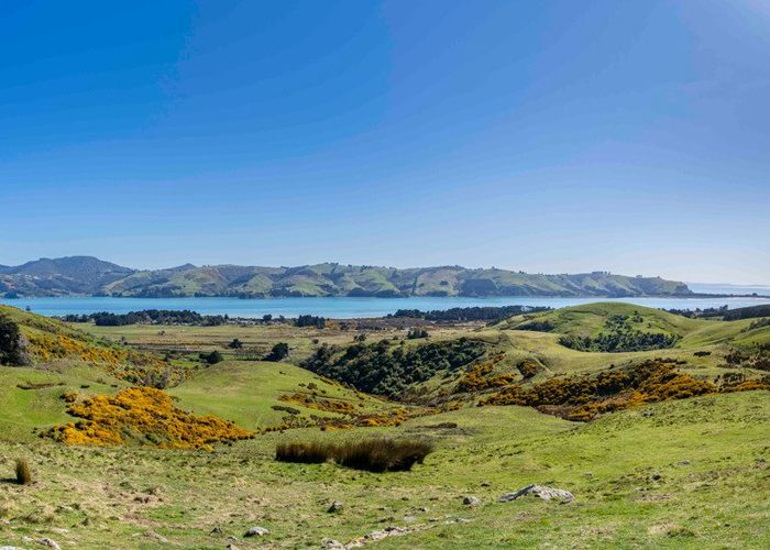  at 452 Harington Point Rd, Harwood, Dunedin, Otago