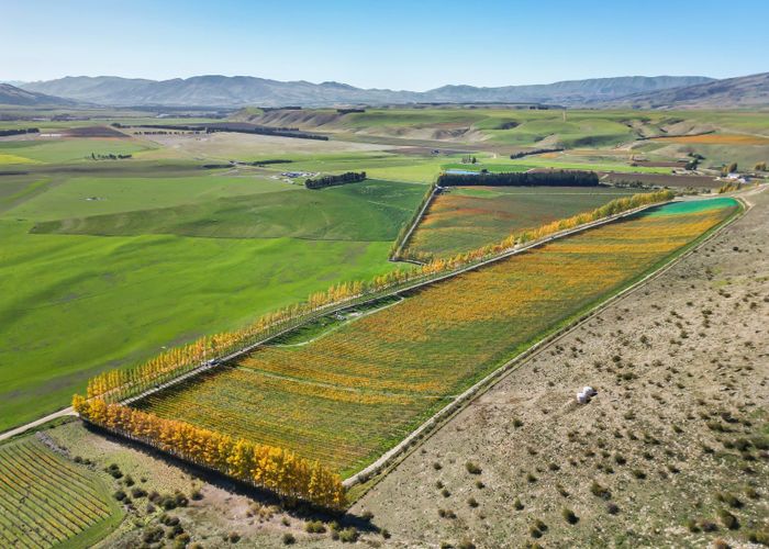  at 198 / 297 Loop Road, Cromwell, Central Otago, Otago