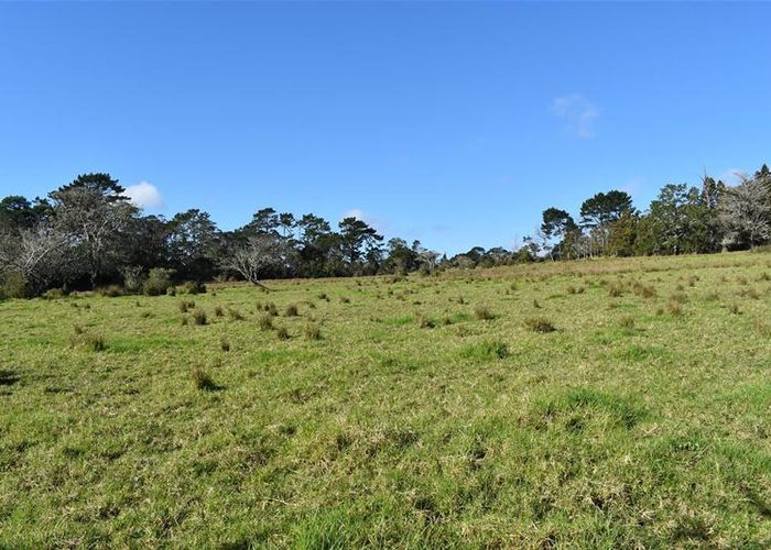  at 6 Coulter Road, Swanson, Auckland